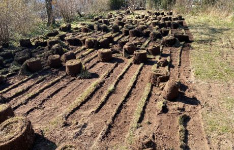 Gartenpflege Stingl